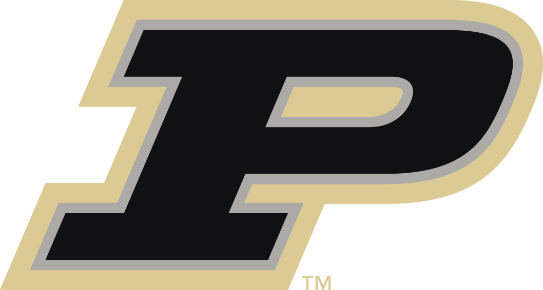 Purdue Boilermakers 2012-Pres Alternate Logo iron on paper